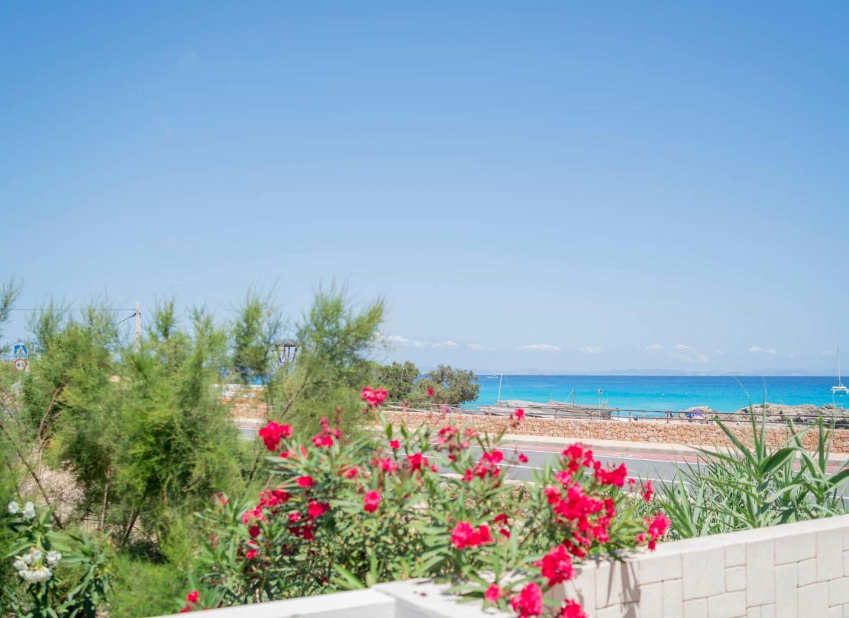 Cavall De Llevant - Formentera Break Es Calo  Zewnętrze zdjęcie